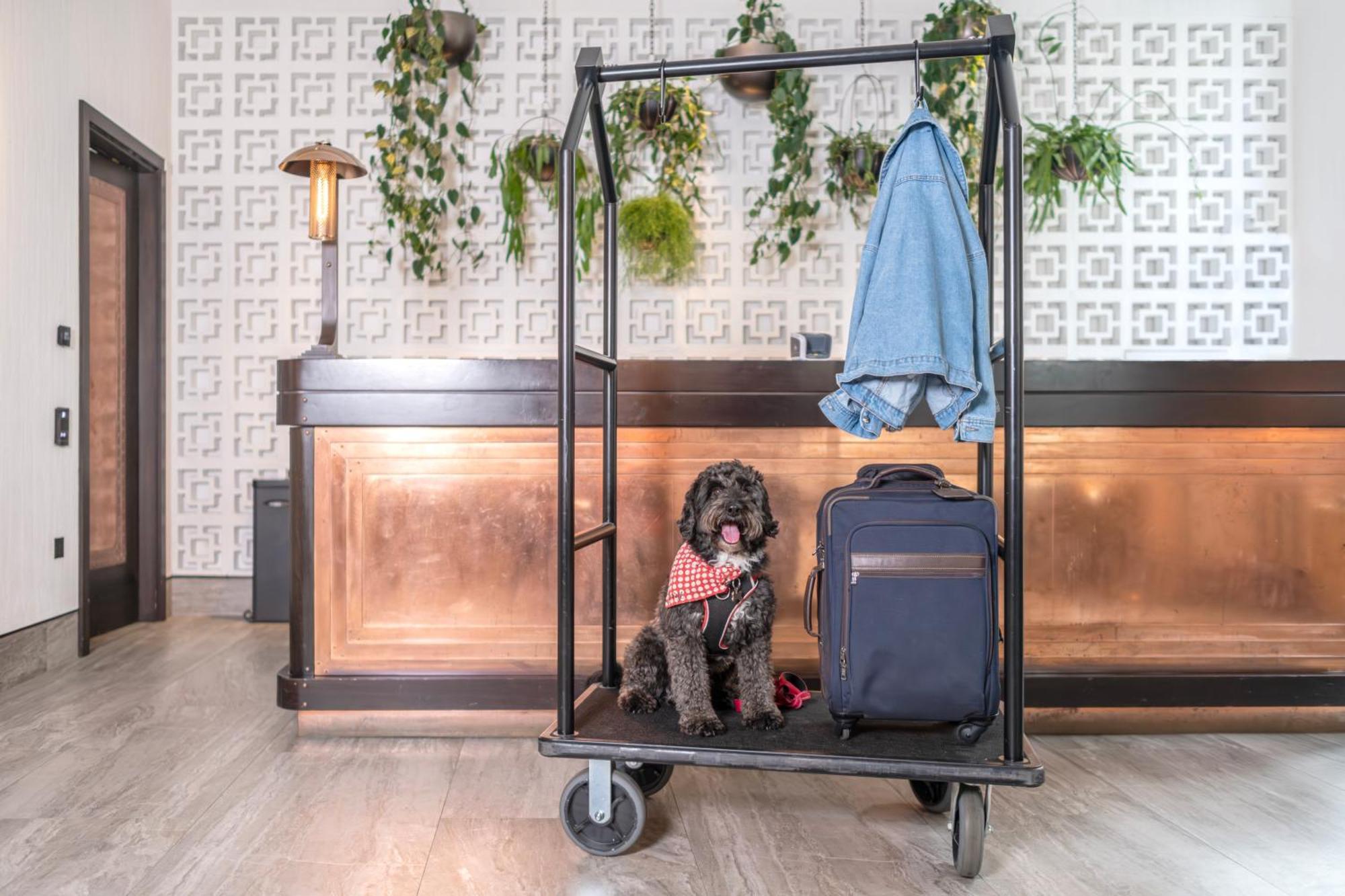 Hart Shoreditch Hotel London, Curio Collection By Hilton Luaran gambar